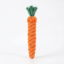 Jouet pour chien carotte en corde tressée orange avec haut en fil vert idéal comme jouet à mâcher et aide pour chien