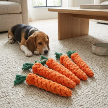 Jouet pour chien carotte en corde tressée orange avec franges vertes, jouet à mâcher idéal pour chien aide