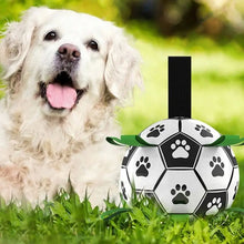 Jouets interactifs Ballon Football pour animaux - Enjouet