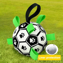 Jouets interactifs Ballon Football pour animaux - Enjouet