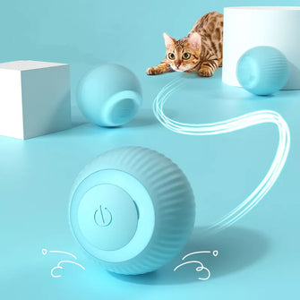 Jouets interactifs pour chats - Enjouet