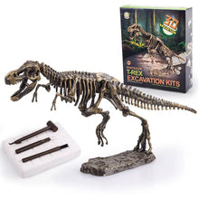 Kit d’excavation Dinosaure Jurassique pour enfant - Enjouet