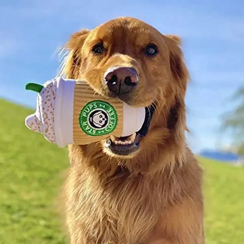 Peluche à mâcher Capuccino pour animaux