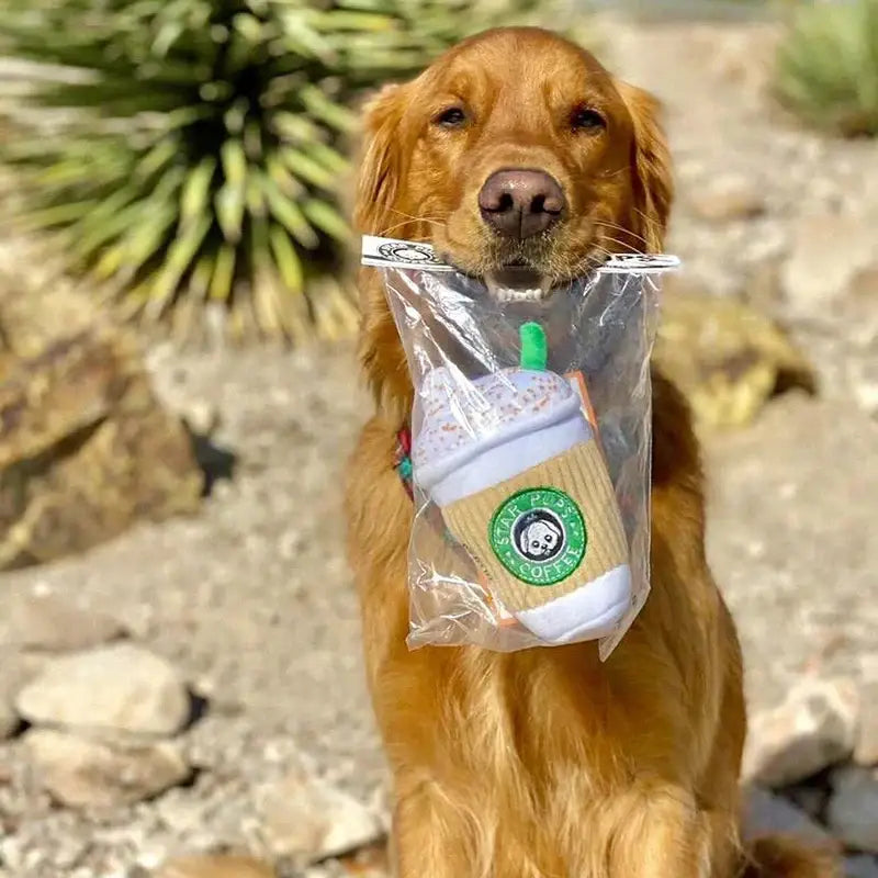 Peluche à mâcher Capuccino pour animaux