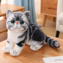Peluche Animal Chaton Kawaii - Enjouet