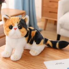Peluche Animal Chaton Kawaii - Enjouet
