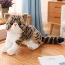 Peluche Animal Chaton Kawaii - Enjouet