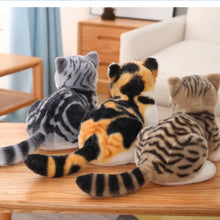 Peluche Animal Chaton Kawaii - Enjouet