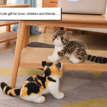 Peluche Animal Chaton Kawaii - Enjouet