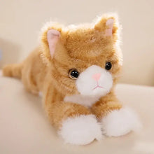 Peluche chaton mignon en peluche douce couleur gingembre avec pattes et museau blancs pour doudou câlin