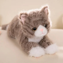 Peluche chaton mignon doudou gris et blanc en peluche douce avec yeux boutons noirs nez rose et moustaches brodées