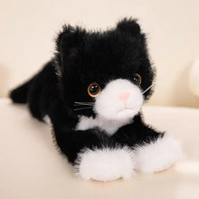 Peluche chaton mignon doudou noir et blanc en peluche douce avec yeux marron nez rose et moustaches fines