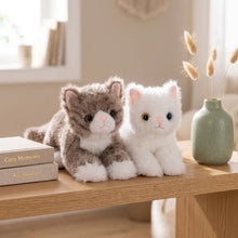Deux peluches chaton mignon avec fourrure douce, l’une grise aux pattes blanches et l’autre toute blanche aux yeux colorés
