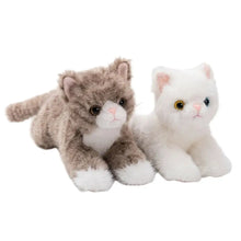 Peluche chaton mignon doudou avec deux chatons en peluche douce, un gris et blanc, l’autre entièrement blanc avec détails brodés