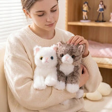 Peluche chaton mignon doudou comprenant deux peluches chaton en tissu doux blanc et gris tabby avec détails colorés