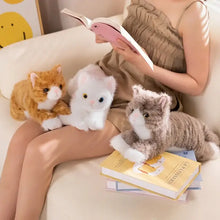 Peluche chaton mignon doudou en peluche douce avec motifs orange blanc et gris pour un confort câlin