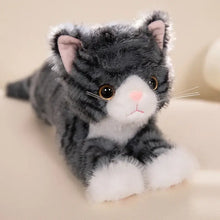 Peluche chaton mignon doudou en peluche rayée gris et blanc avec oreilles roses coussinées et nez rose doux