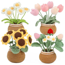 Peluche Crochet Pot de Fleurs - Enjouet
