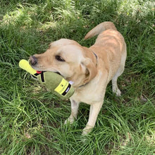 Peluche pour chien Jouet à mâcher - Enjouet