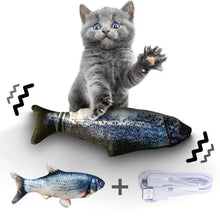 Poisson Electrique Jouet pour Chat - Enjouet