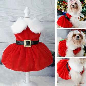 Robe de Noël pour chienne - Enjouet