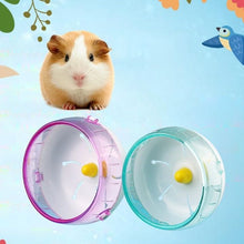 Roue de course pour hamster - Enjouet