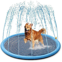 Splash Jouet d’été pour chien - Enjouet