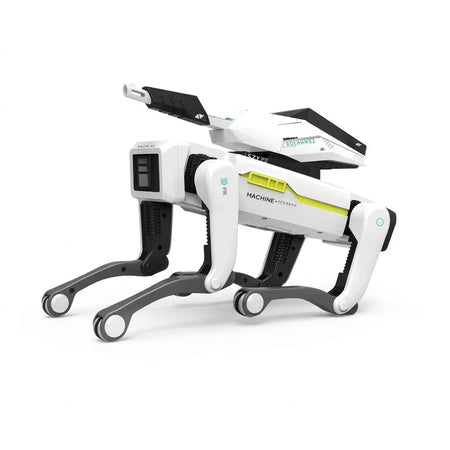 Chien robot télécommandé programmable avec accessoires au choix
