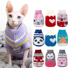 Vêtements d’hiver pour Chats et Petits Chiens - Enjouet